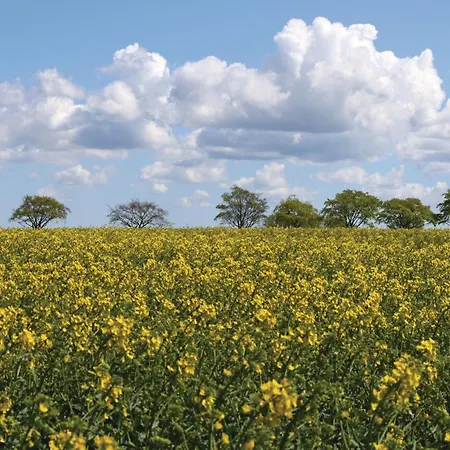 Vakantiehuis 32 Altefähr